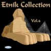 Fronte Etnik Coll. Vol.4 web.jpg (40199 byte)