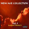 Fronte_Fascetta_New_Age_Coll._Vol.5.jpg (9979 byte)