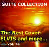 Fronte_Suite_Coll._Vol.14.jpg (14400 byte)