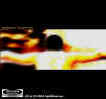 fronte_ok_G.G..jpg (22236 byte)